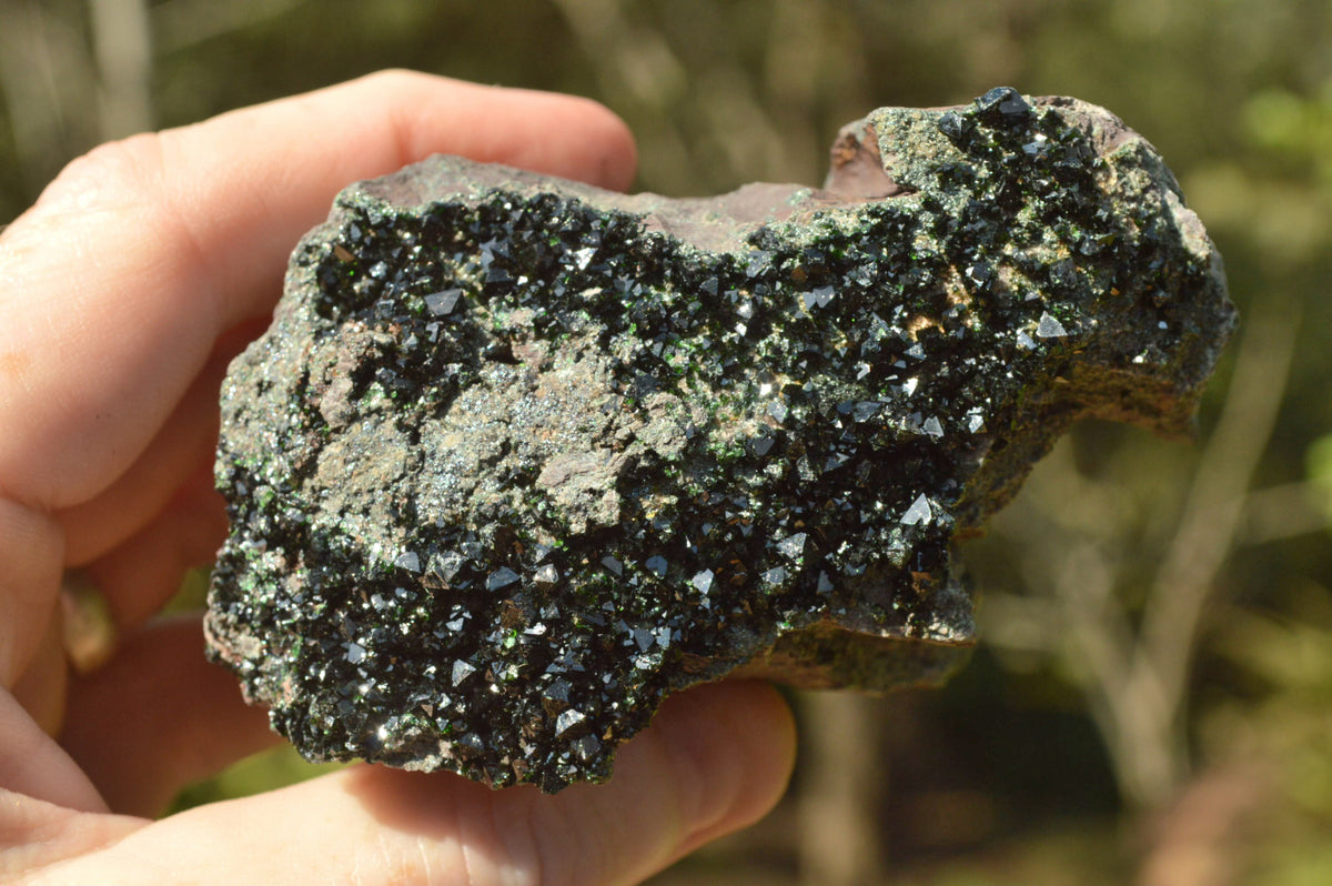 Natural Rare Copper Phosphate Libethenite On Dolomite Clusters x 3 From Shituru, Congo - TopRock