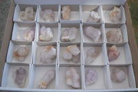 Natural Mixed Spirit Quartz Clusters  x 20 From Boekenhouthoek, South Africa - Toprock Gemstones and Minerals