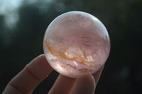 Polished Star Rose Quartz Spheres  x 6 From Ambatondrazaka, Madagascar - Toprock Gemstones and Minerals
