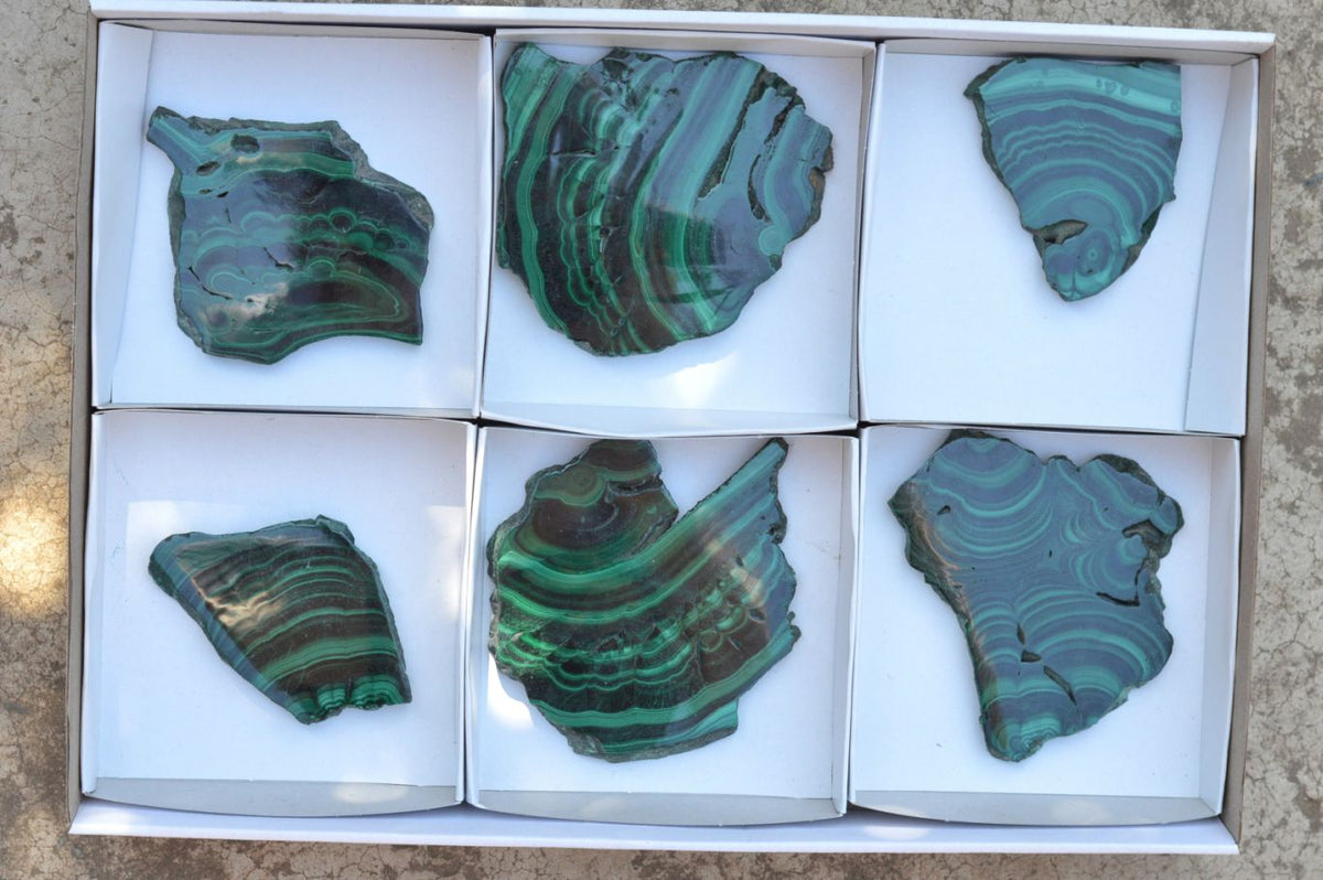 Polished Extra Large Malachite Slices With Beautiful Flower & Banding Patterns x 6 From Congo - TopRock