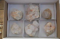 Natural White Cactus Flower Spirit Quartz Specimens x 6 From Boekenhouthoek, South Africa - Toprock Gemstones and Minerals
