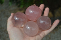 Polished Star Rose Quartz Spheres  x 6 From Ambatondrazaka, Madagascar - Toprock Gemstones and Minerals