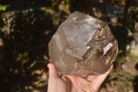 Polished Double Terminated Smokey Quartz Stepped Crystal x 1 From Madagascar - Toprock Gemstones and Minerals