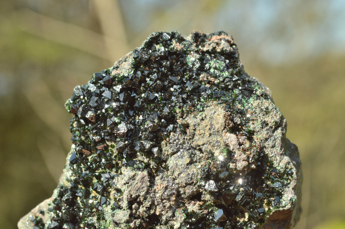 Natural Rare Copper Phosphate Libethenite On Dolomite Clusters x 3 From Shituru, Congo - TopRock