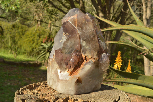 Polished Stunning XL Smokey Amethyst Quartz Crystal x 1 From Ankazobe, Madagascar - TopRock