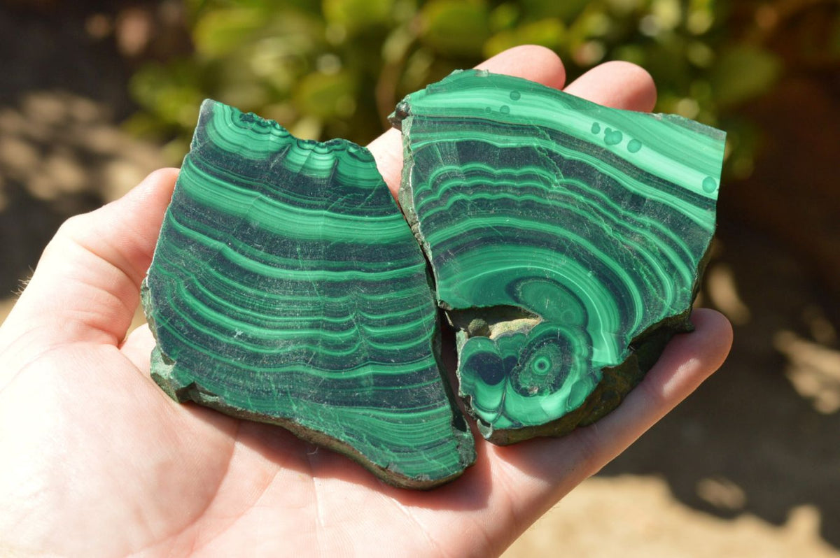 Polished Extra Large Malachite Slices With Beautiful Flower & Banding Patterns x 6 From Congo - TopRock