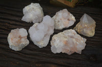 Natural White Cactus Flower Spirit Quartz Specimens x 6 From Boekenhouthoek, South Africa - Toprock Gemstones and Minerals