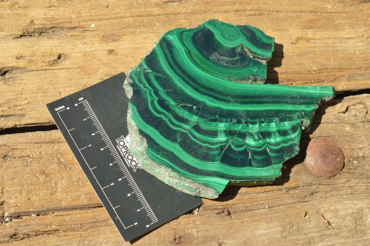 Polished Extra Large Malachite Slices With Beautiful Flower & Banding Patterns x 6 From Congo - TopRock