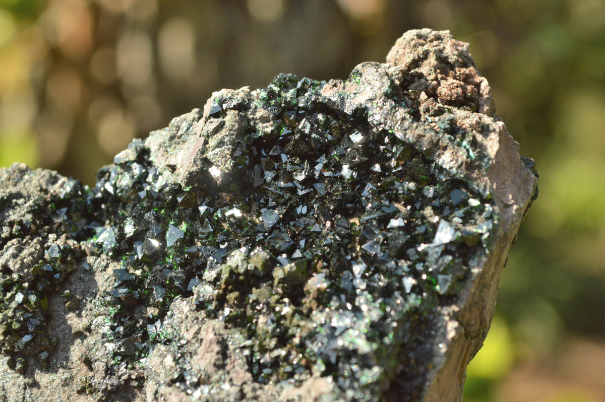 Natural Rare Copper Phosphate Libethenite On Dolomite Clusters x 3 From Shituru, Congo - TopRock