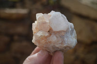 Natural White Cactus Flower Spirit Quartz Specimens x 6 From Boekenhouthoek, South Africa - Toprock Gemstones and Minerals