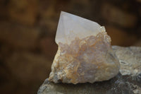Natural White Cactus Flower Spirit Quartz Specimens x 6 From Boekenhouthoek, South Africa - Toprock Gemstones and Minerals