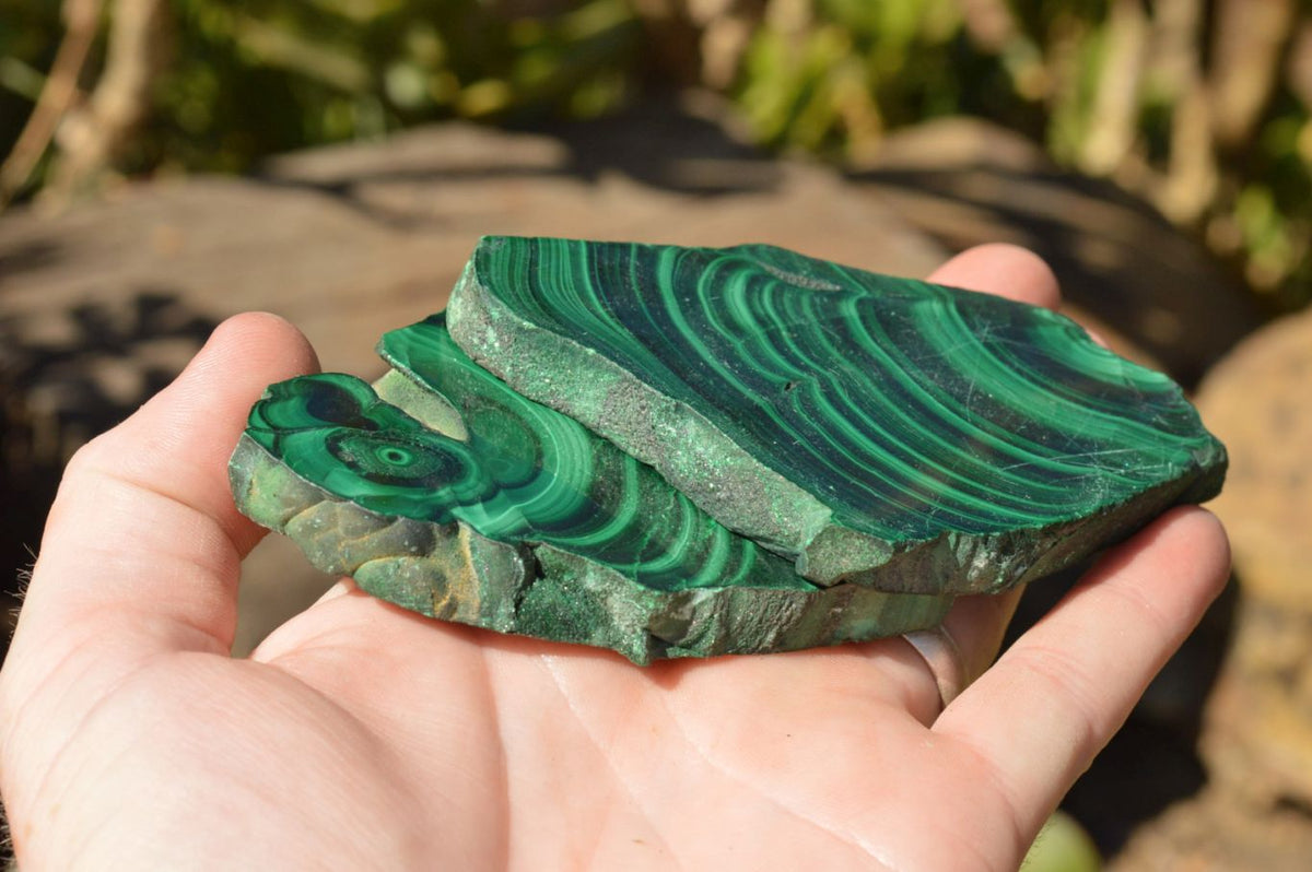 Polished Extra Large Malachite Slices With Beautiful Flower & Banding Patterns x 6 From Congo - TopRock