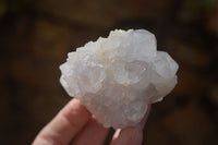 Natural White Cactus Flower Spirit Quartz Specimens x 6 From Boekenhouthoek, South Africa - Toprock Gemstones and Minerals