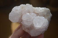 Natural White Cactus Flower Spirit Quartz Specimens x 6 From Boekenhouthoek, South Africa - Toprock Gemstones and Minerals