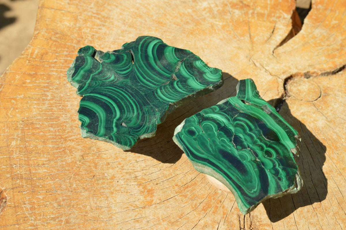 Polished Extra Large Malachite Slices With Beautiful Flower & Banding Patterns x 6 From Congo - TopRock