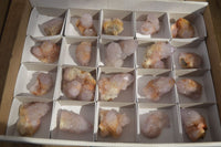 Natural Spirit Ametrine Quartz Crystals x 20 From Boekenhouthoek, South Africa - Toprock Gemstones and Minerals