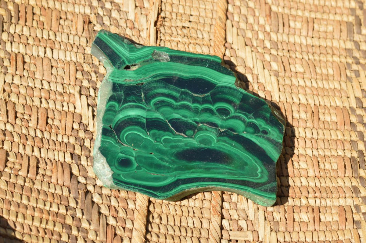 Polished Extra Large Malachite Slices With Beautiful Flower & Banding Patterns x 6 From Congo - TopRock