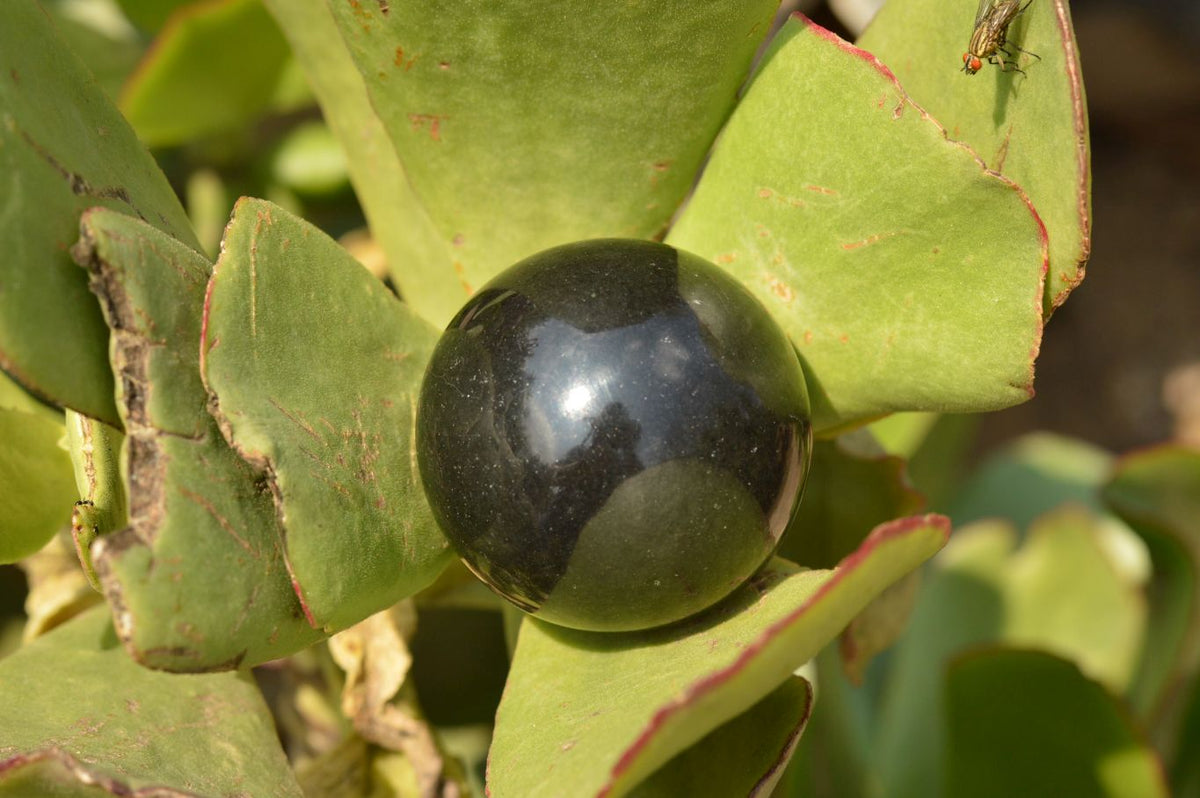 Polished Pitch Black Basalt Spheres (Heat Stable) x 5 From Madagascar - TopRock