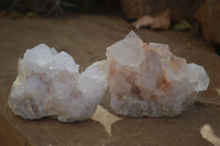 Natural White Cactus Flower Spirit Quartz Specimens x 6 From Boekenhouthoek, South Africa - Toprock Gemstones and Minerals
