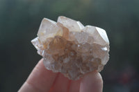 Natural Small Spirit Ametrine Quartz Clusters  x 12 From Boekenhouthoek, South Africa - Toprock Gemstones and Minerals