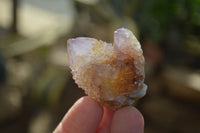 Natural Spirit Ametrine Quartz Crystals x 20 From Boekenhouthoek, South Africa - Toprock Gemstones and Minerals