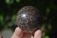 Polished Red Pyrope Garnet Matrix Spheres  x 6 From Madagascar - Toprock Gemstones and Minerals