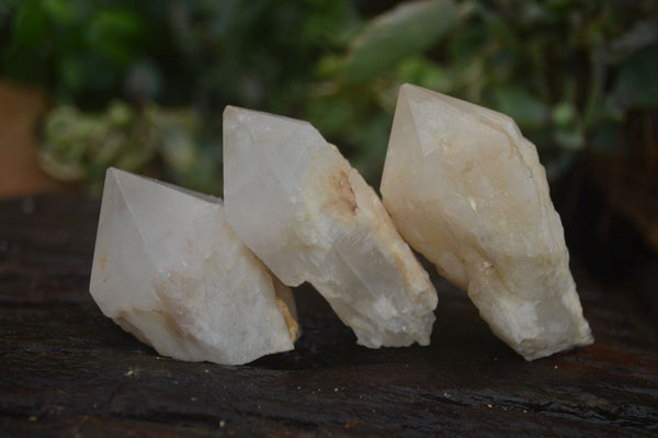 Natural Highly Selected Candle Quartz Crystals  x 35 From Madagascar - Toprock Gemstones and Minerals 