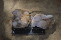 Natural Spirit Amethyst / Ametrine Quartz Clusters  x 6 From Boekenhouthoek, South Africa - Toprock Gemstones and Minerals