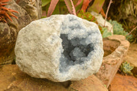 Natural Blue Celestite Geode Specimen  x 1 From Sakoany, Madagascar - TopRock