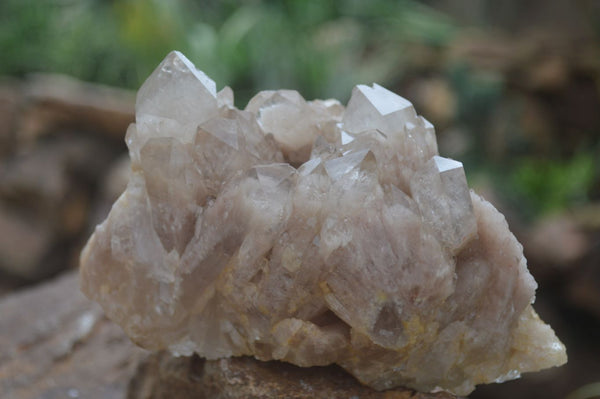 Natural Cascading Smokey White Phantom Quartz Clusters  x 2 From Luena, Congo - Toprock Gemstones and Minerals 