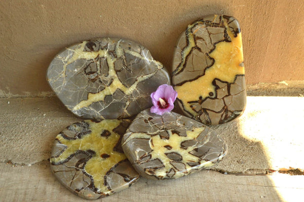 Polished Septerye (Aragonite & Calcite) Slices x 4 From Mahajanga, Madagascar - TopRock