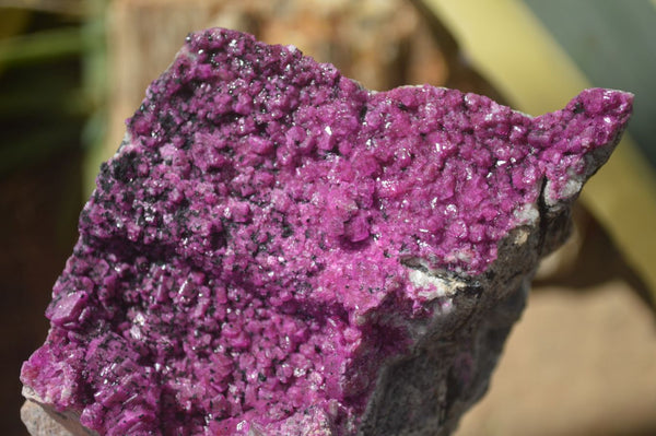 Natural Pink Salrose Cobaltion Dolomite Specimens  x 3 From Kakanda, Congo - Toprock Gemstones and Minerals 
