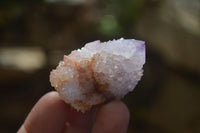 Natural Spirit Ametrine Quartz Crystals x 20 From Boekenhouthoek, South Africa - Toprock Gemstones and Minerals