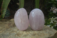 Polished Rose Quartz Standing Free Forms x 3 From Ambatondrazaka, Madagascar - Toprock Gemstones and Minerals