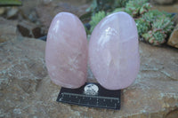 Polished Rose Quartz Standing Free Forms x 3 From Ambatondrazaka, Madagascar - Toprock Gemstones and Minerals