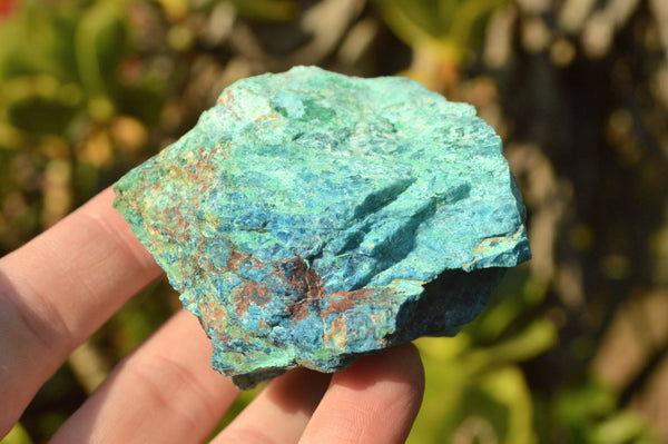 Natural Rough Blue Shattuckite Cobbed Pieces x 25 From Namibia - TopRock