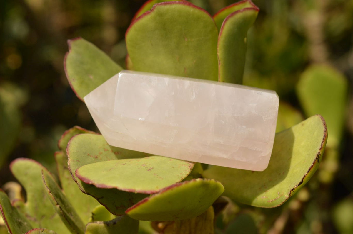 Polished Light Pink Stunning Rose Quartz Points x 4 From Ambatondrazaka, Madagascar - TopRock