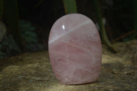 Polished Pink Rose Quartz Standing Free Forms x 2 From Antsirabe, Madagascar - Toprock Gemstones and Minerals