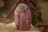 Polished  Pink & Black Rhodonite Standing Free Forms x 2 From Madagascar - Toprock Gemstones and Minerals