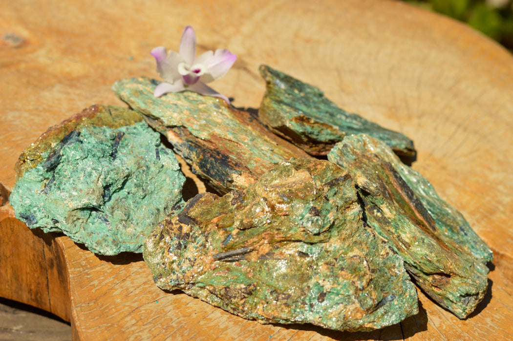 Natural Green Fuchsite With Blue Kyanite Crystals x 6 From Zimbabwe - TopRock