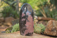 Polished  Pink & Black Rhodonite Standing Free Forms x 2 From Madagascar - Toprock Gemstones and Minerals