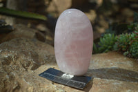 Polished Pink Rose Quartz Standing Free Forms x 2 From Antsirabe, Madagascar - Toprock Gemstones and Minerals