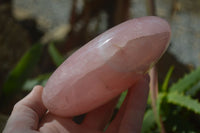 Polished Pink Rose Quartz Standing Free Forms x 2 From Antsirabe, Madagascar - Toprock Gemstones and Minerals