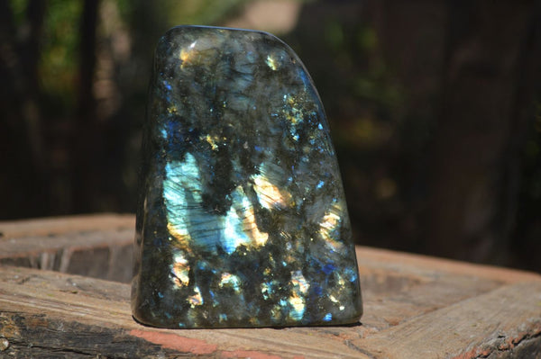 Polished Labradorite Standing Free Form With Blue & Gold Flash  x 1 From Tulear, Madagascar - Toprock Gemstones and Minerals 