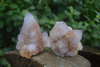 Natural Spirit Amethyst Quartz Clusters  x 6 From Boekenhouthoek, South Africa - Toprock Gemstones and Minerals