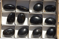 Polished Schorl Black Tourmaline Palm Stones  x 12 From Madagascar - TopRock