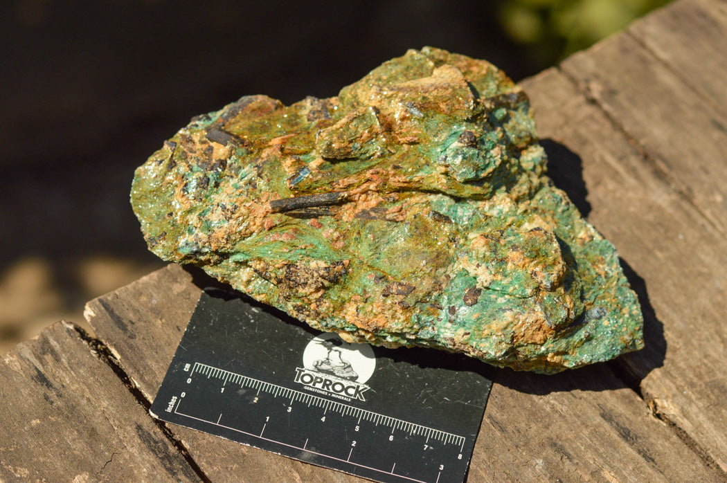 Natural Green Fuchsite With Blue Kyanite Crystals x 6 From Zimbabwe - TopRock