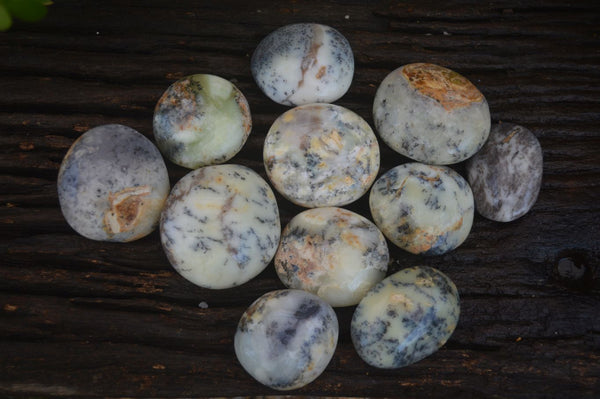 Polished Large Dendritic Opal Palm Stones  x 12 From Madagascar - Toprock Gemstones and Minerals 