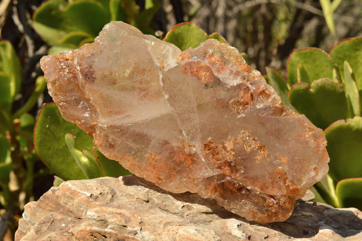 Polished Groovy Etched "Ice" Quartz Crystals With Green Chlorite & Brown Laterite Inclusions x 2 From Zimbabwe - TopRock