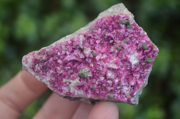 Natural Bright Pink Salrose Cobaltion Dolomite Specimens  x 12 From Kakanda, Congo - Toprock Gemstones and Minerals 